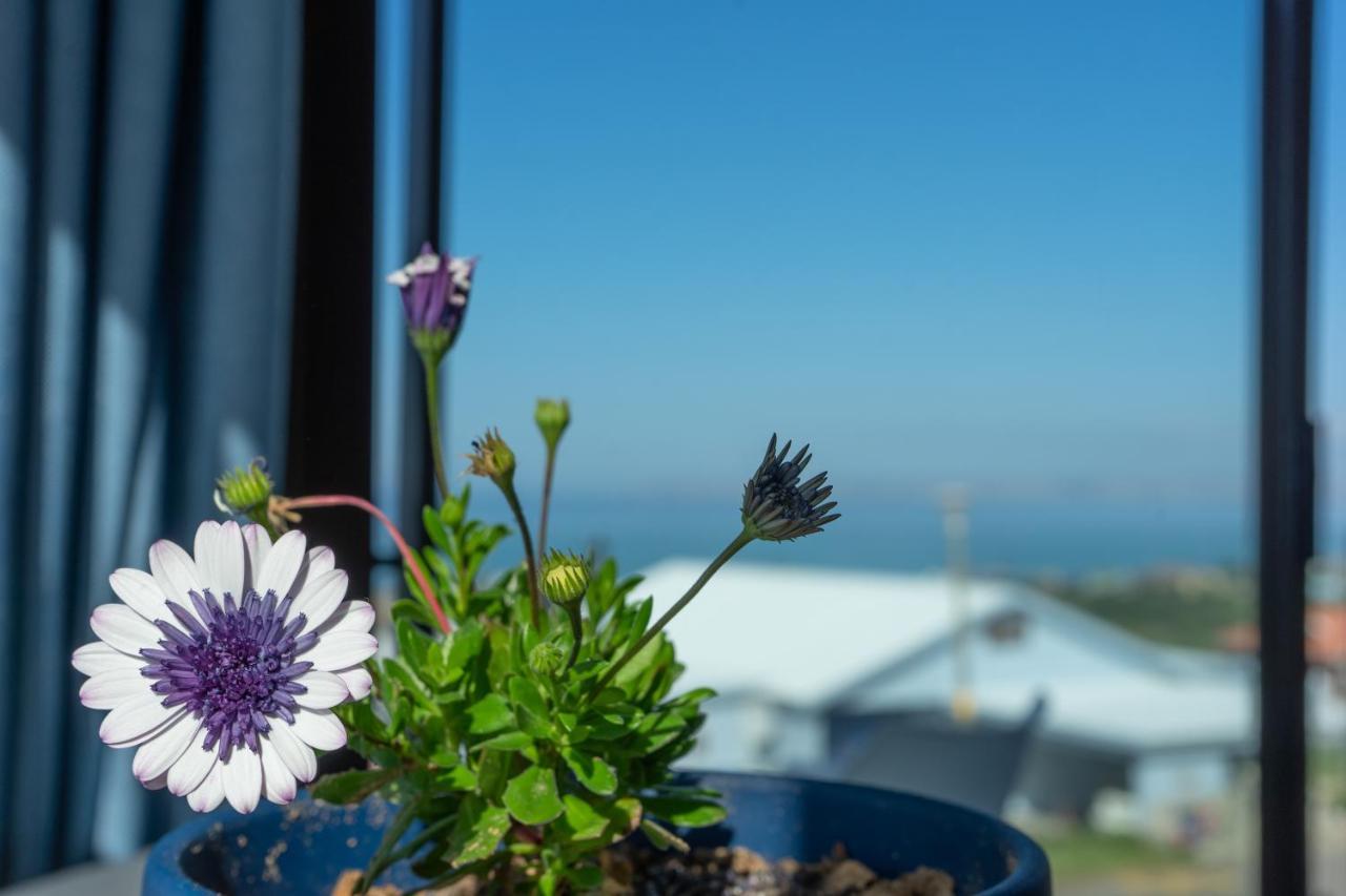 Blue Star Villa Tergniet Bagian luar foto